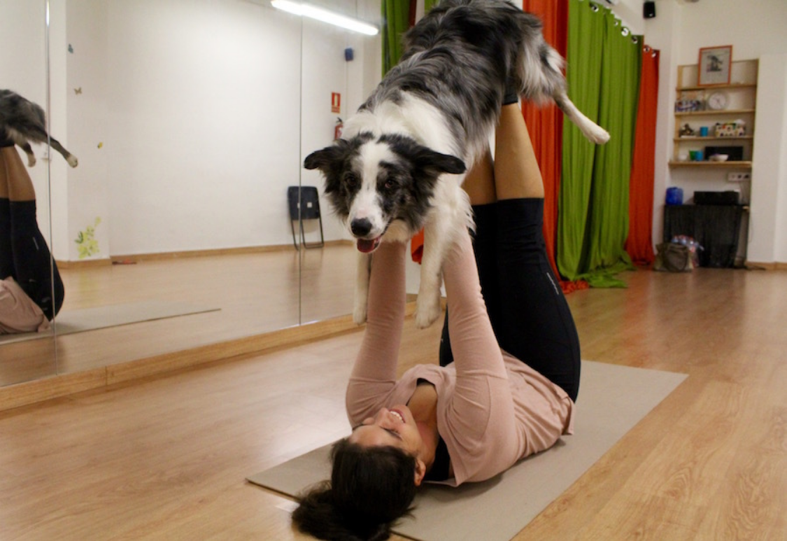 Llega a España el ‘doga’, una forma de practicar yoga con tu perro
